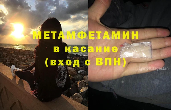 индика Белокуриха