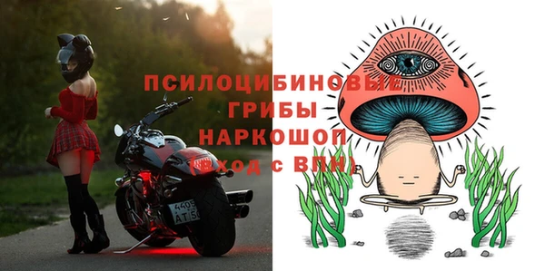 МДПВ Богданович