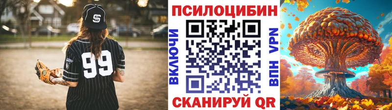 Псилоцибиновые грибы Magic Shrooms  как найти закладки  Вилючинск 